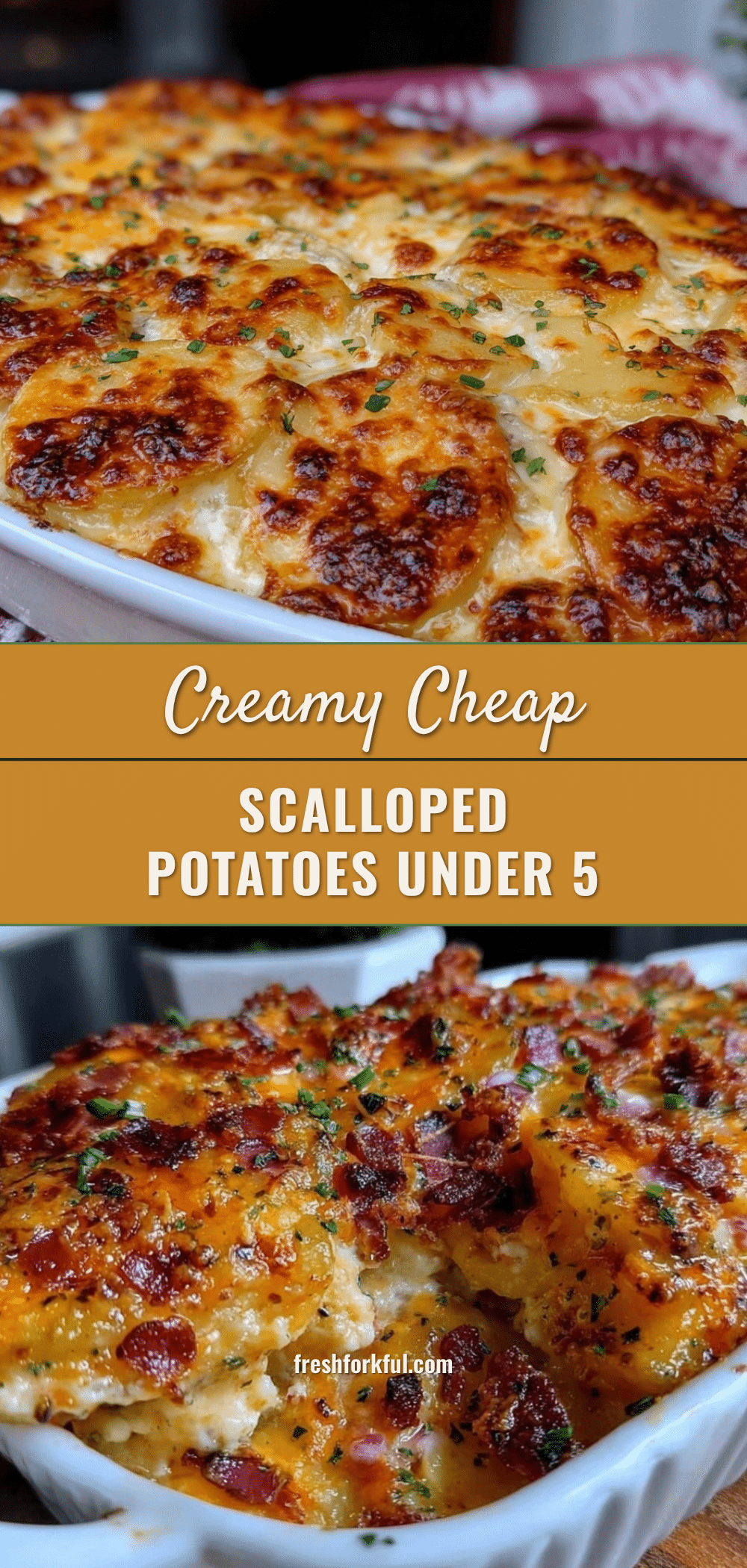 cozy cheap scalloped potatoes recipe