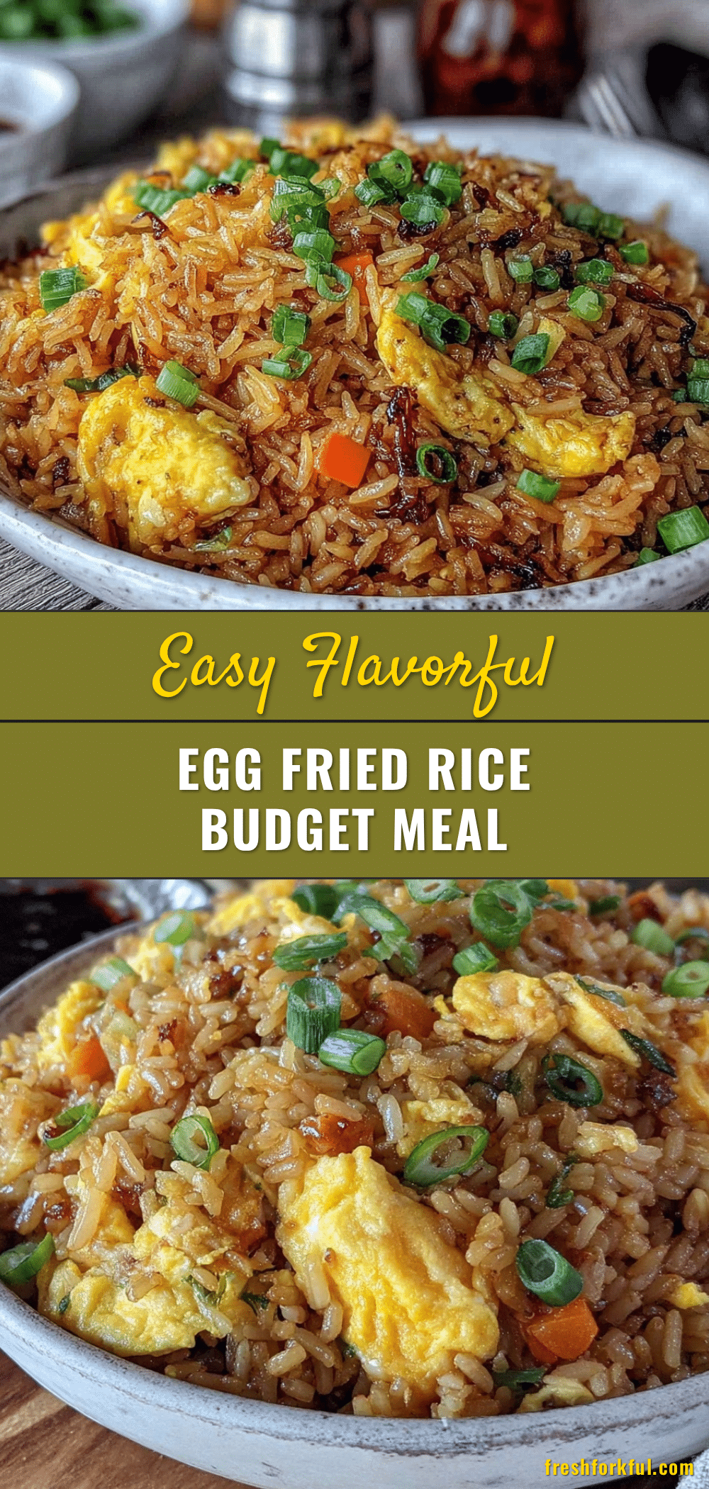 easy flavorful cheap egg fried rice recipe