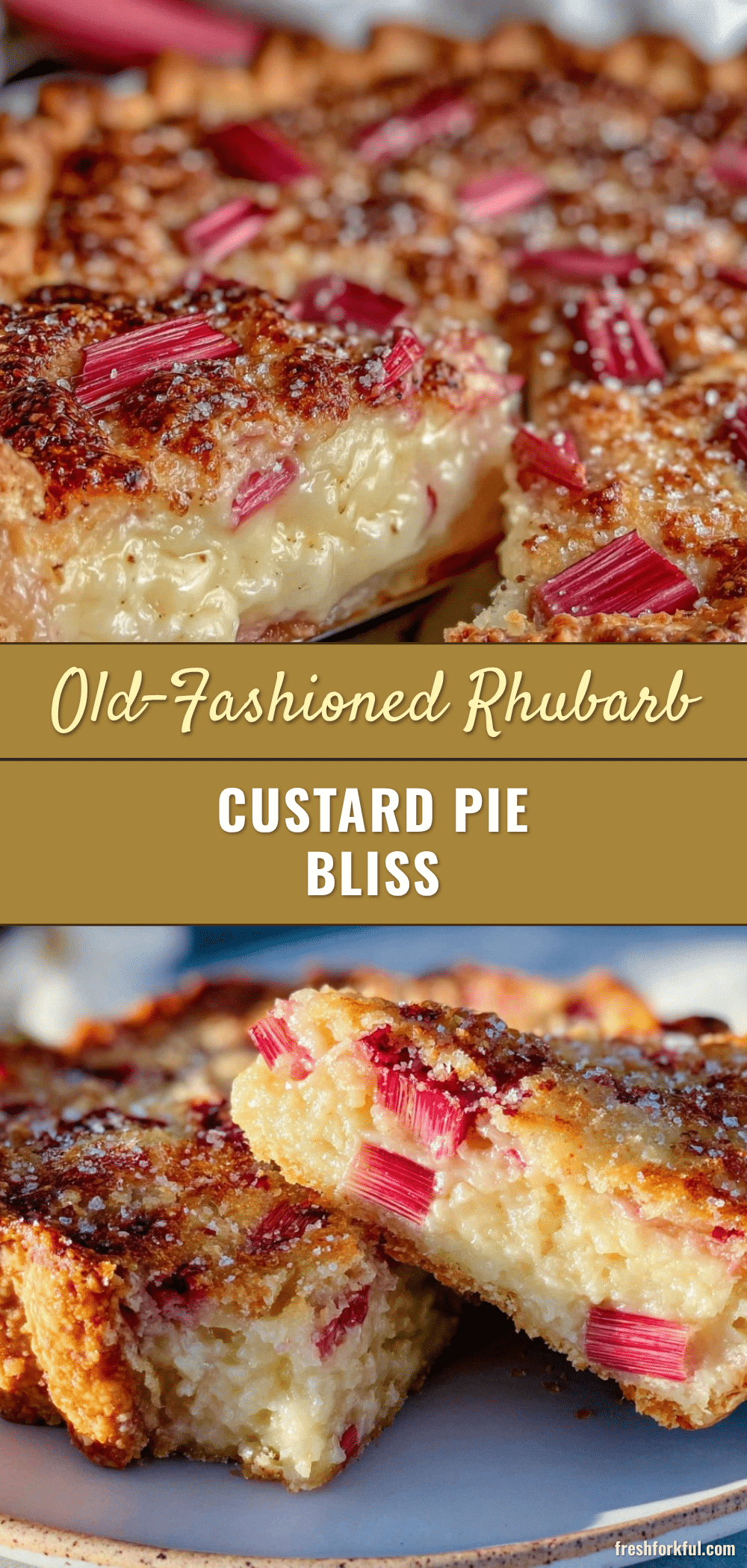 classic rhubarb custard pie recipe