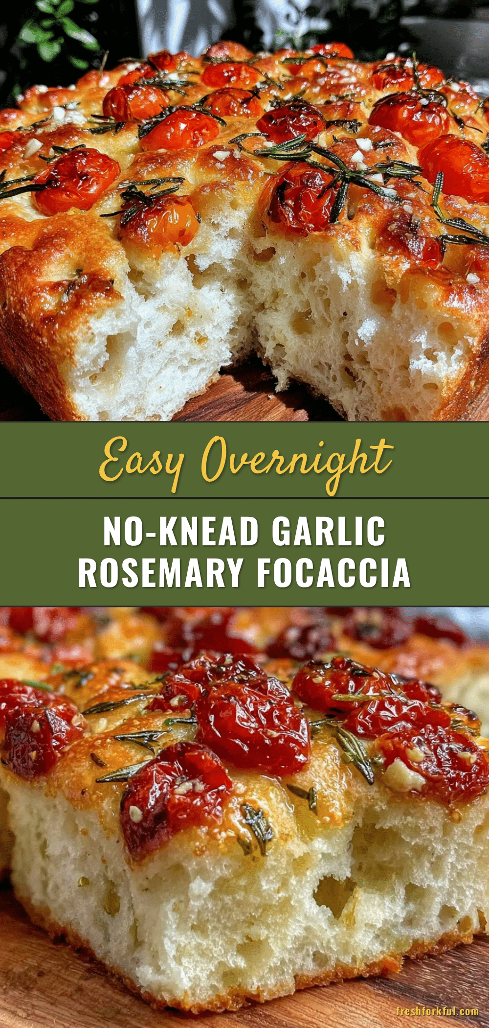 easy no-knead focaccia recipe
