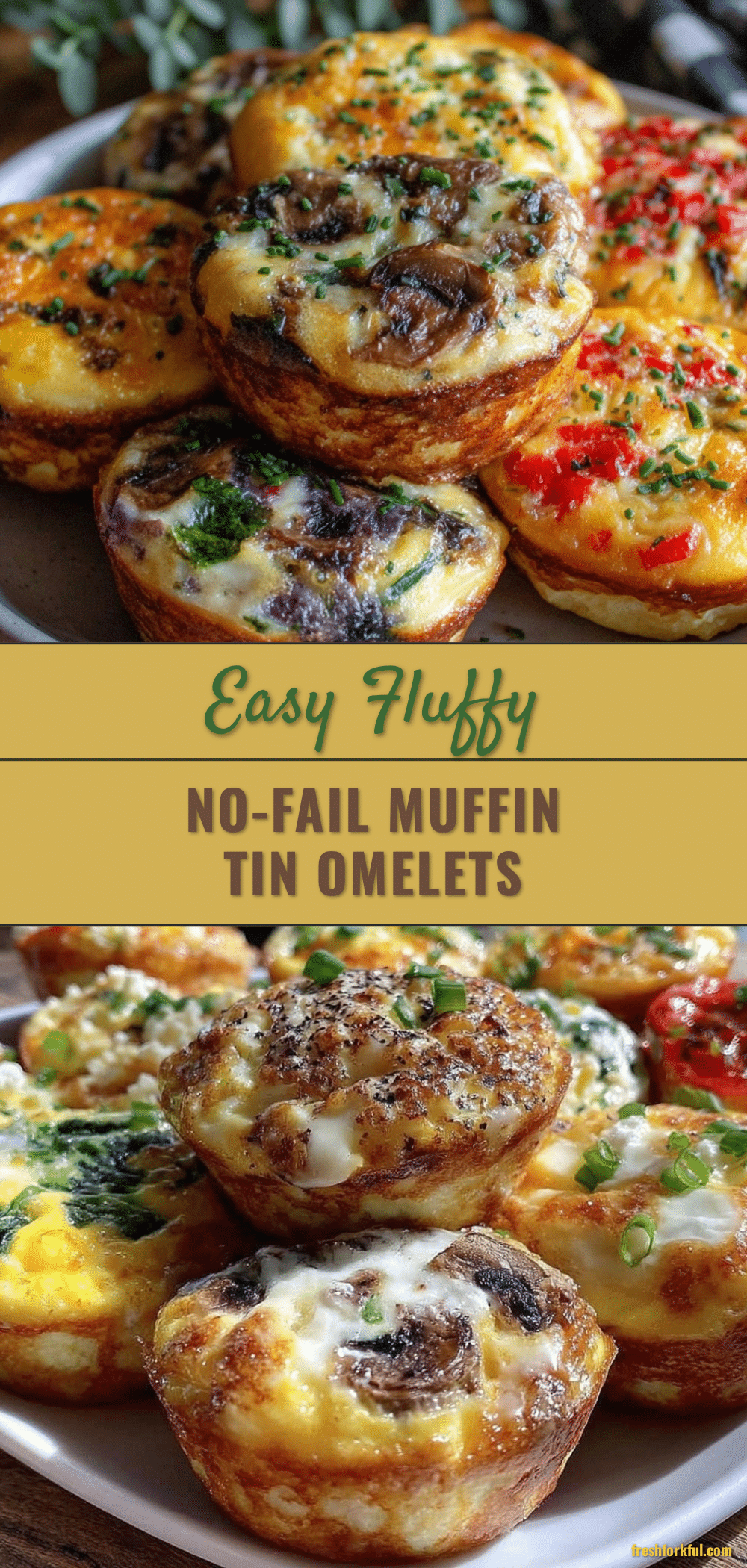 muffin tin omelets recipe
