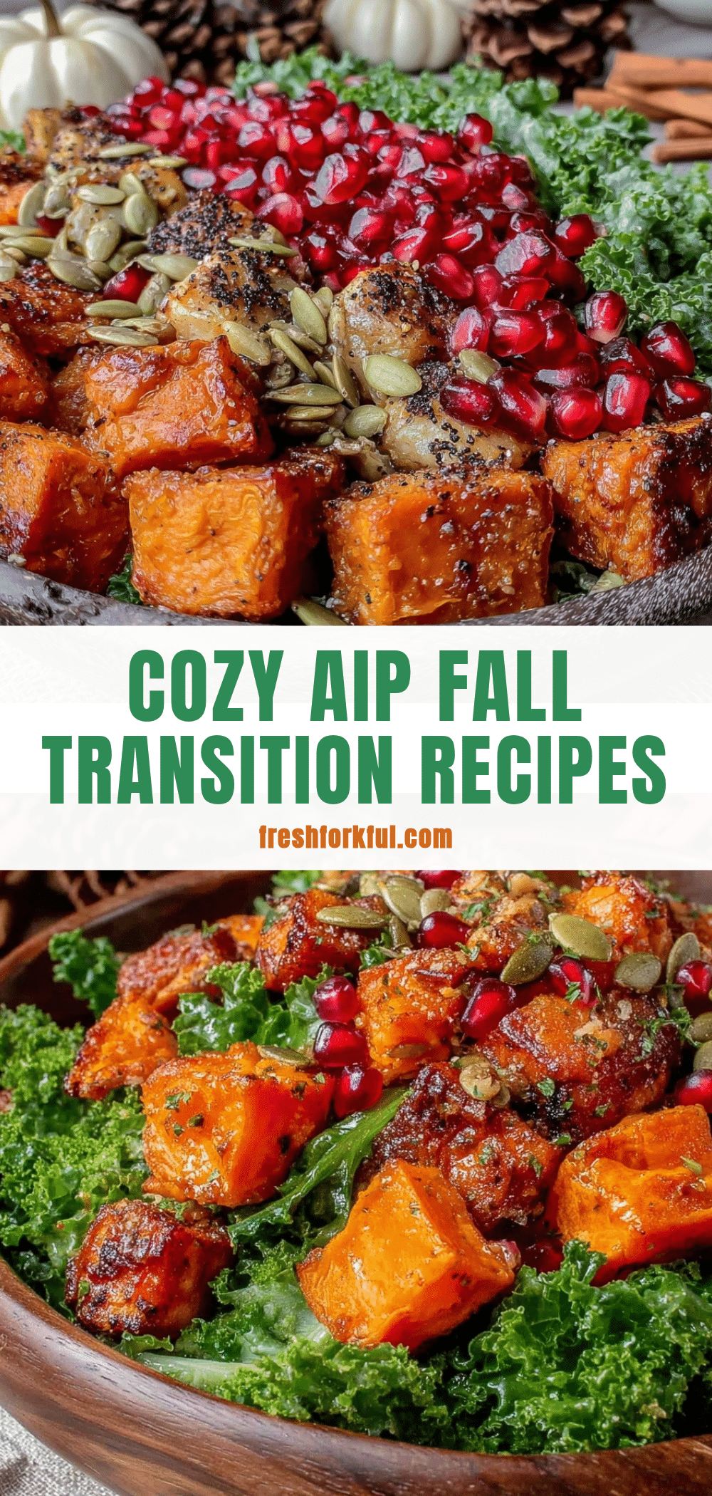 Cozy AIP Autoimmune Protocol Fall Transition Salad recipe