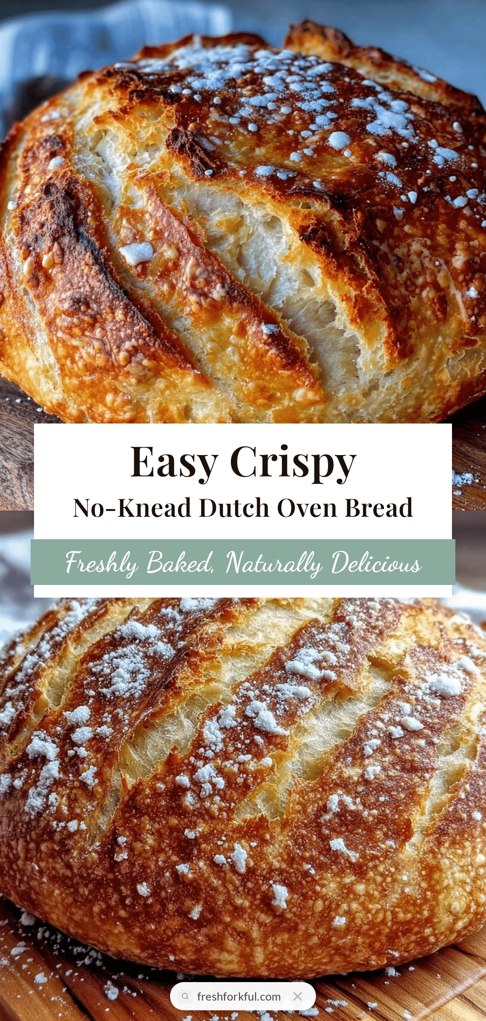 crispy no-knead dutch oven artisan bread recipe