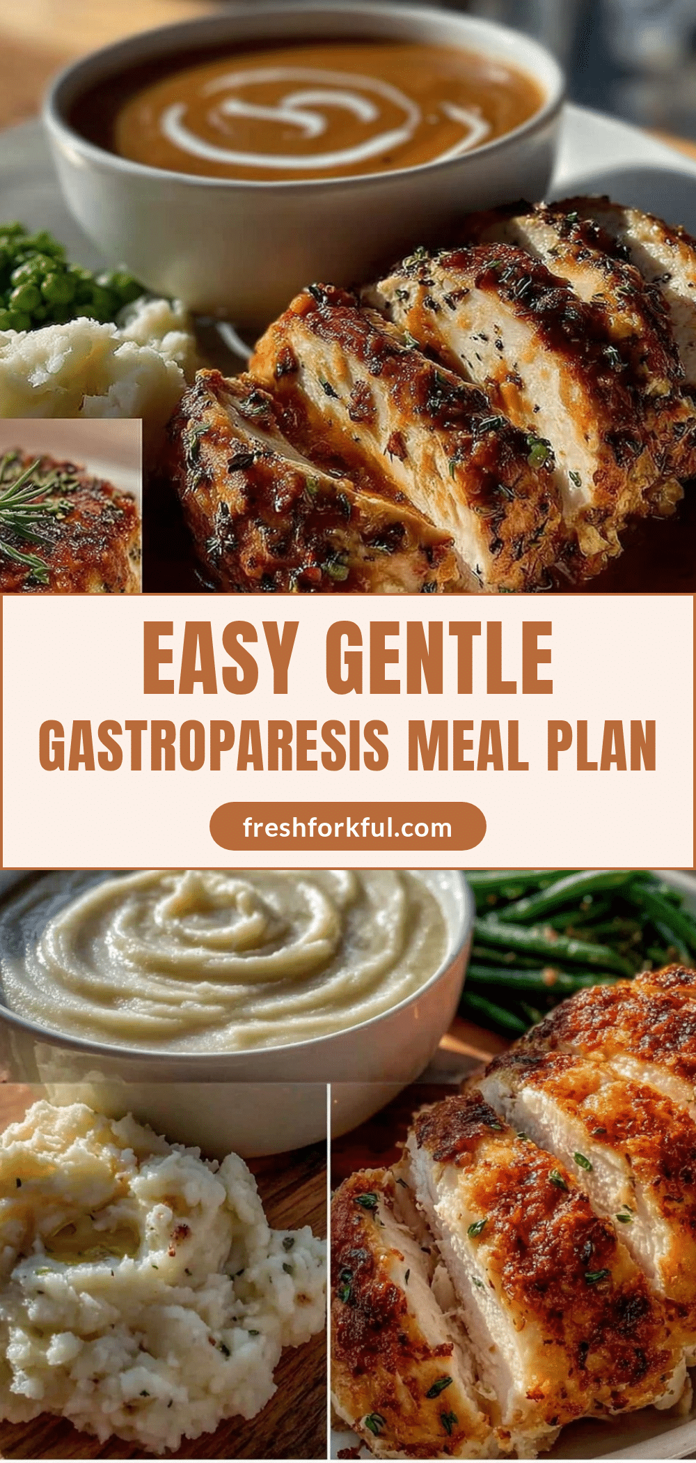 gentle gastroparesis meal plan recipe