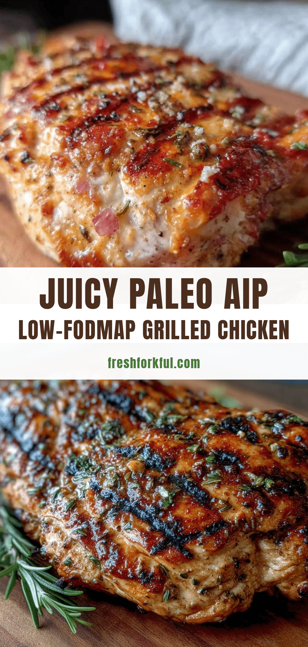 Healthy Paleo AIP Low-FODMAP Grilled Chicken recipe