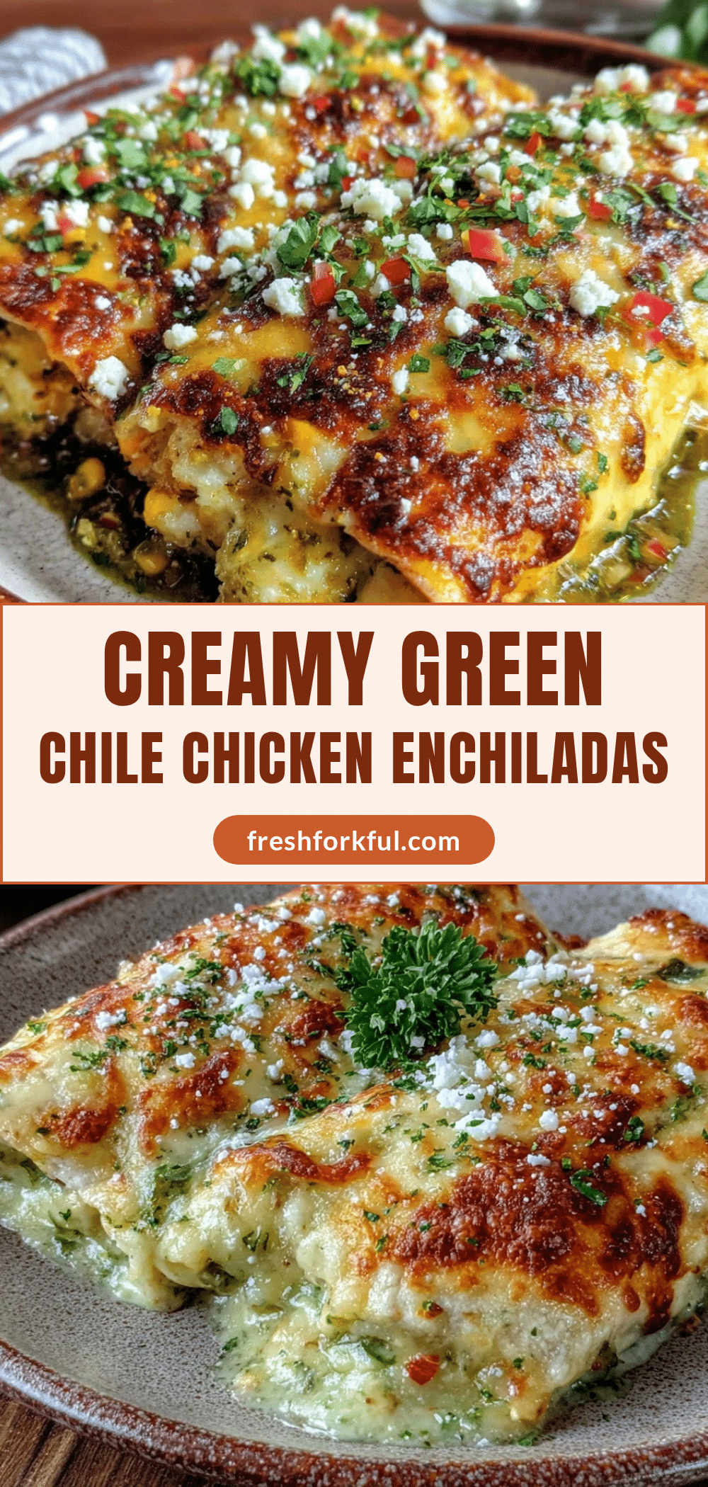 creamy green chile chicken enchiladas recipe