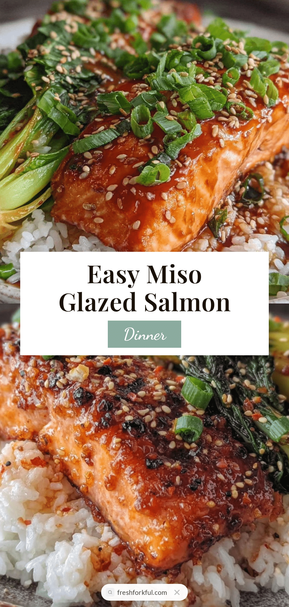 easy miso glazed salmon recipe
