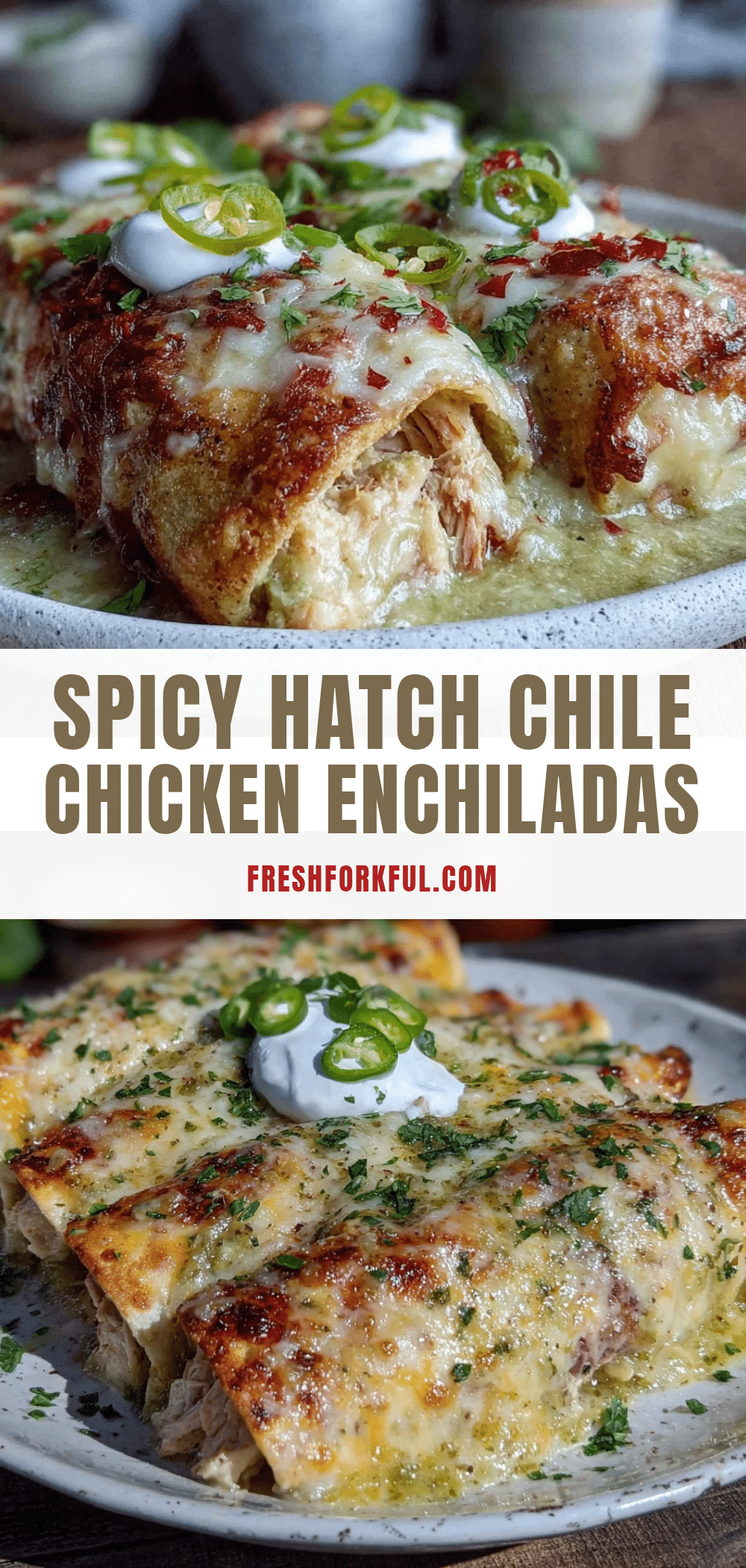 Hatch green chile chicken enchiladas recipe