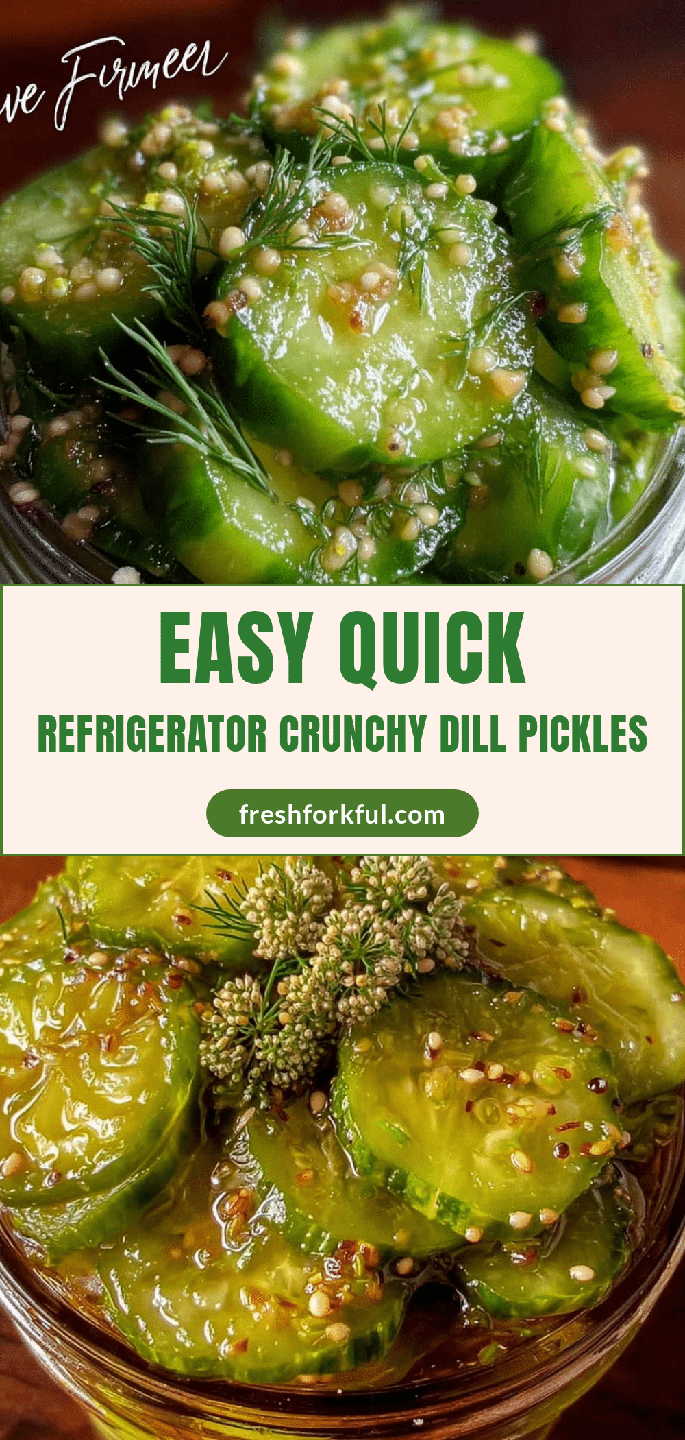 quick refrigerator dill pickles recipe