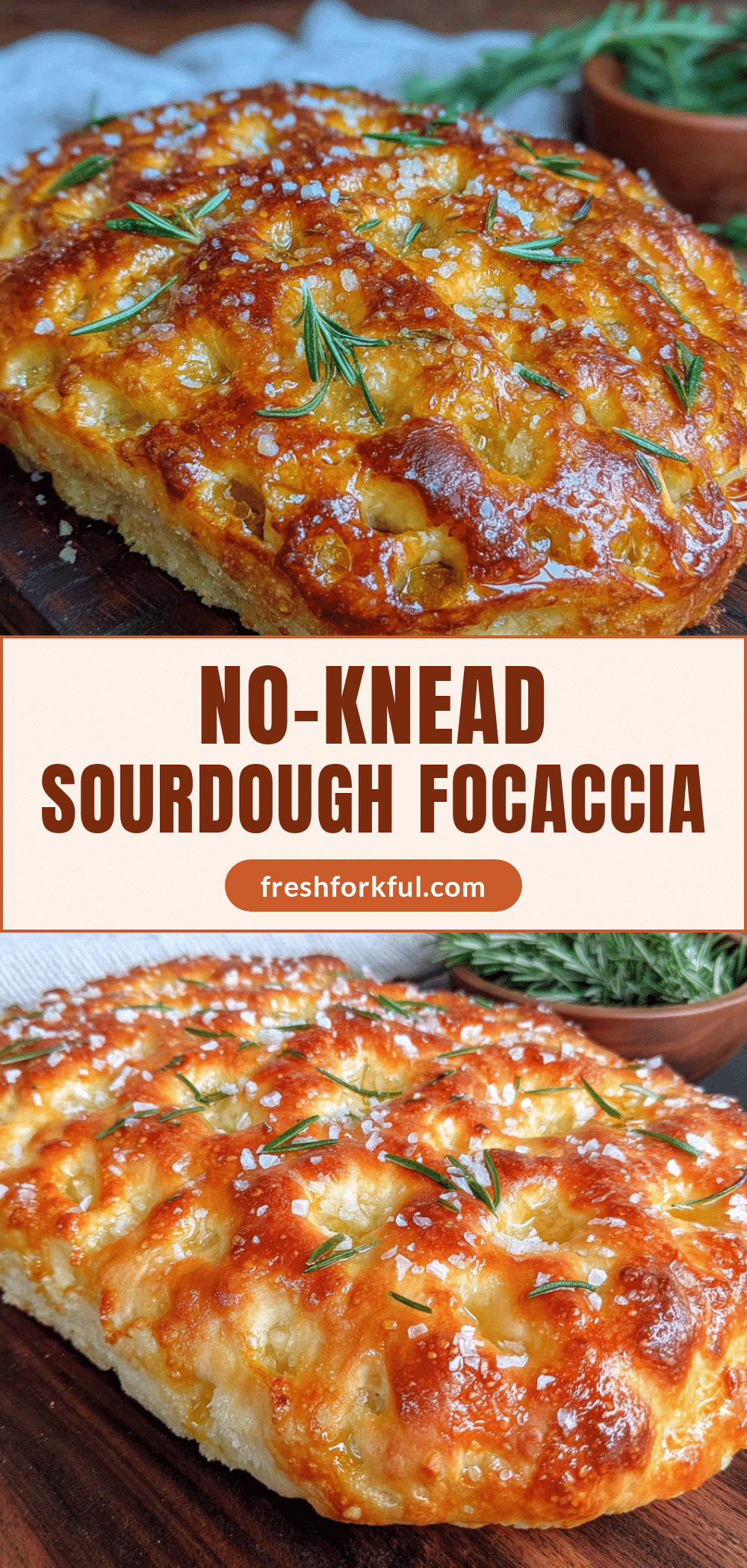 crispy no-knead sourdough discard focaccia recipe