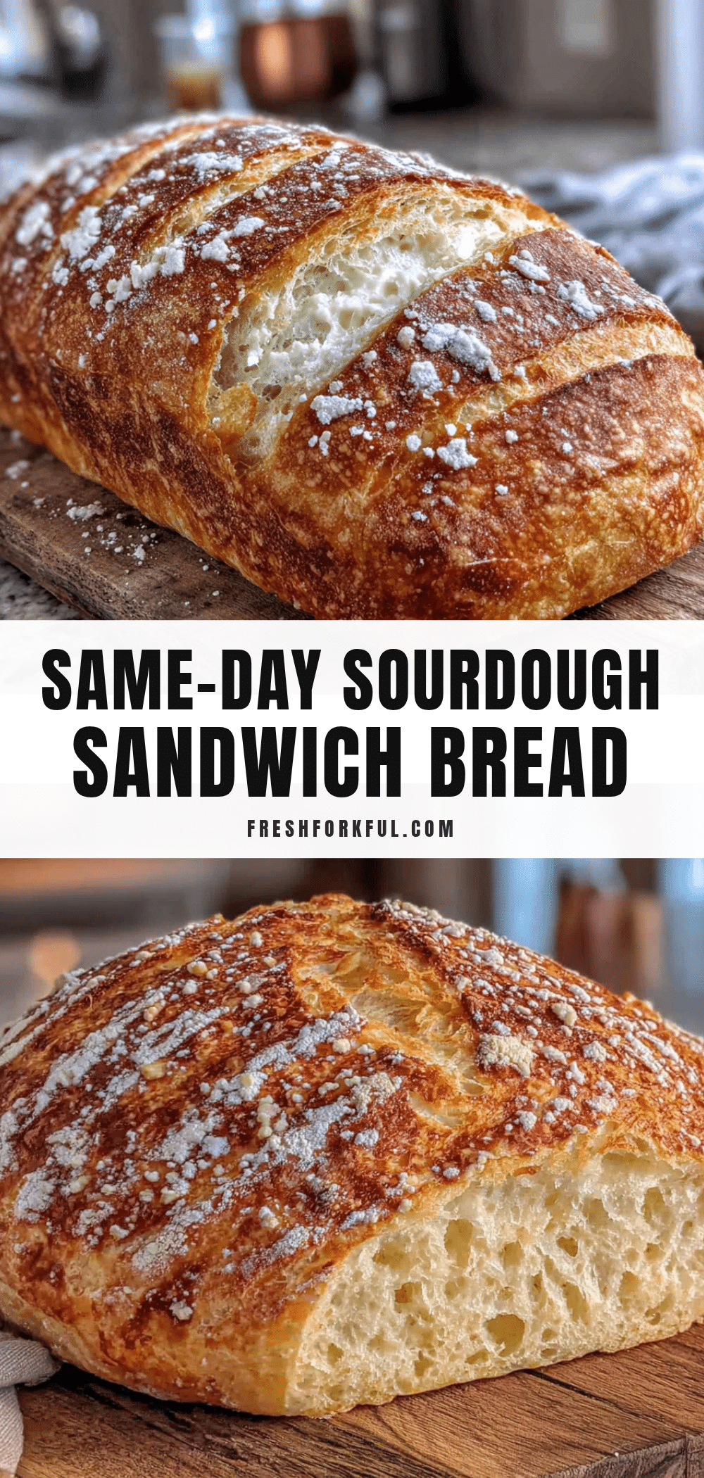 easy same-day sourdough sandwich bread recipe