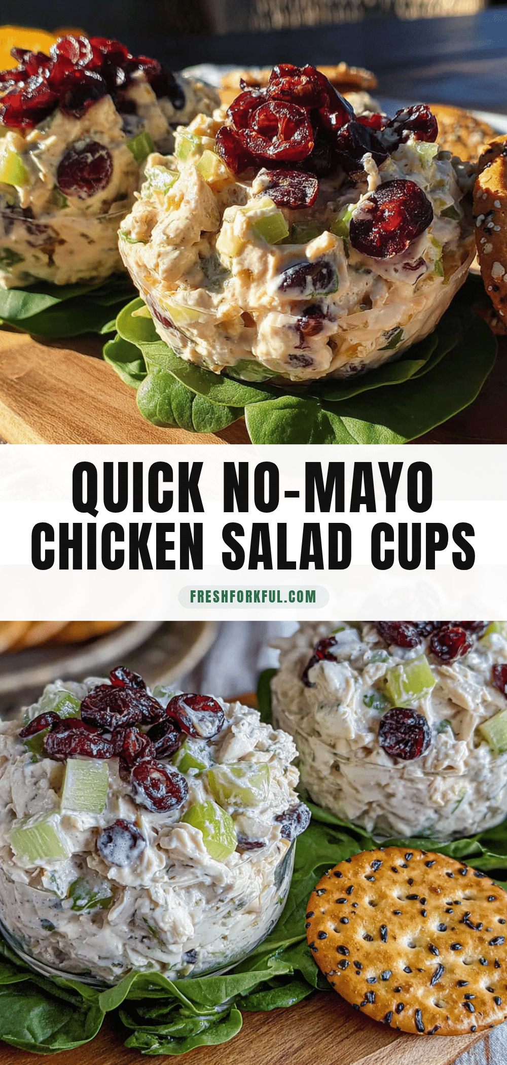 no-mayo chicken salad lunchbox cups recipe