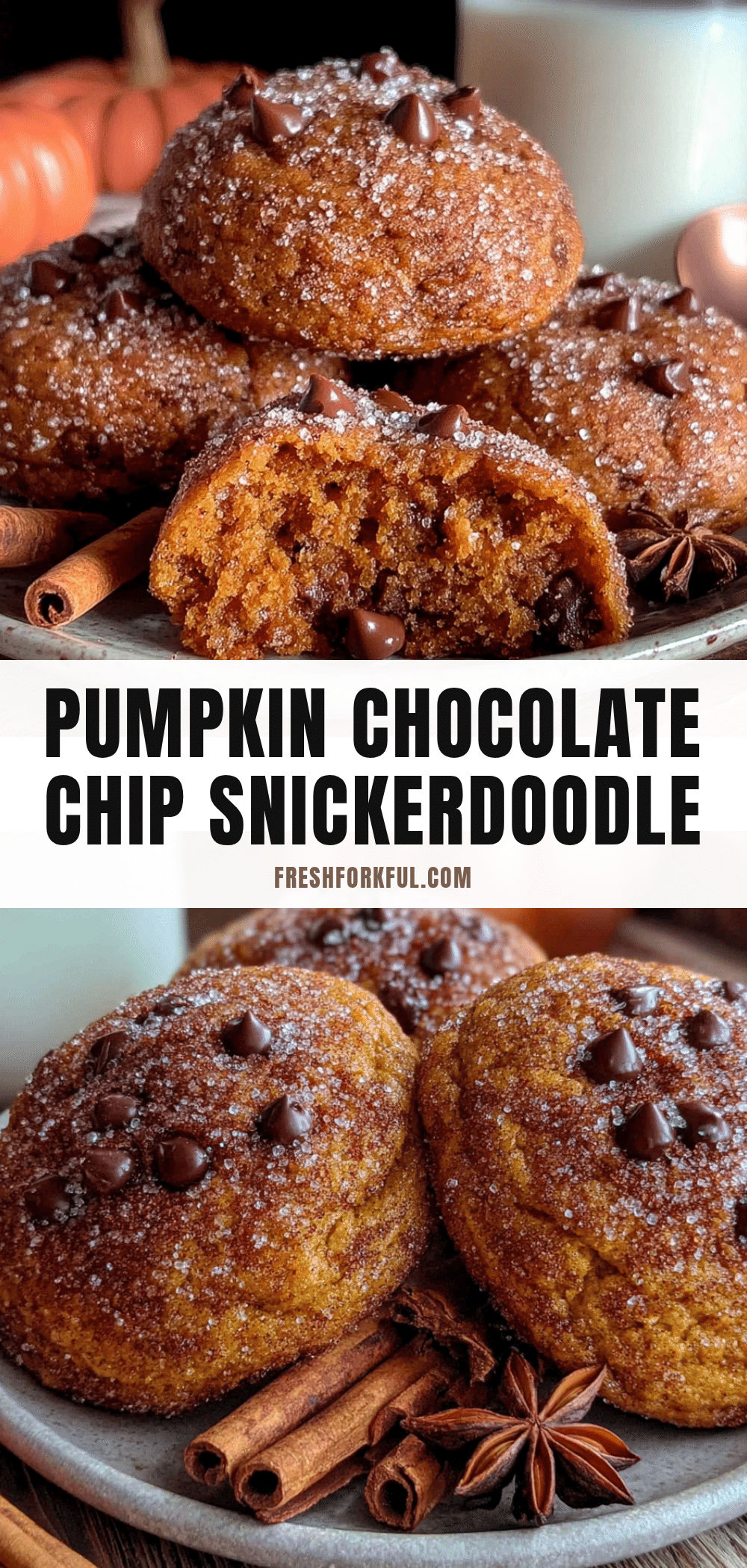 pumpkin chocolate chip snickerdoodles recipe