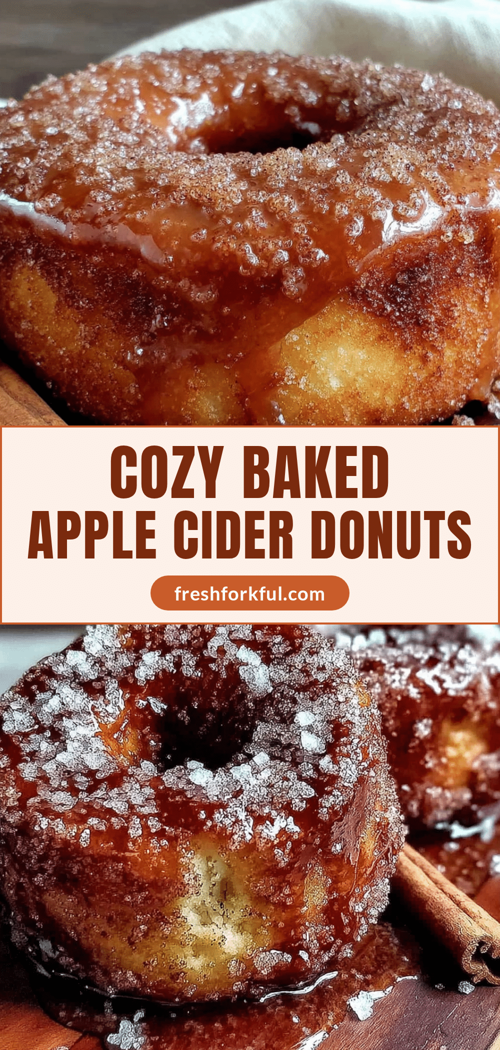 baked apple cider donuts with cinnamon sugar recipe
