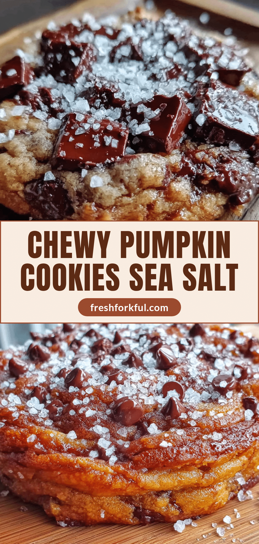 chewy pumpkin chocolate chip cookies with sea salt recipe