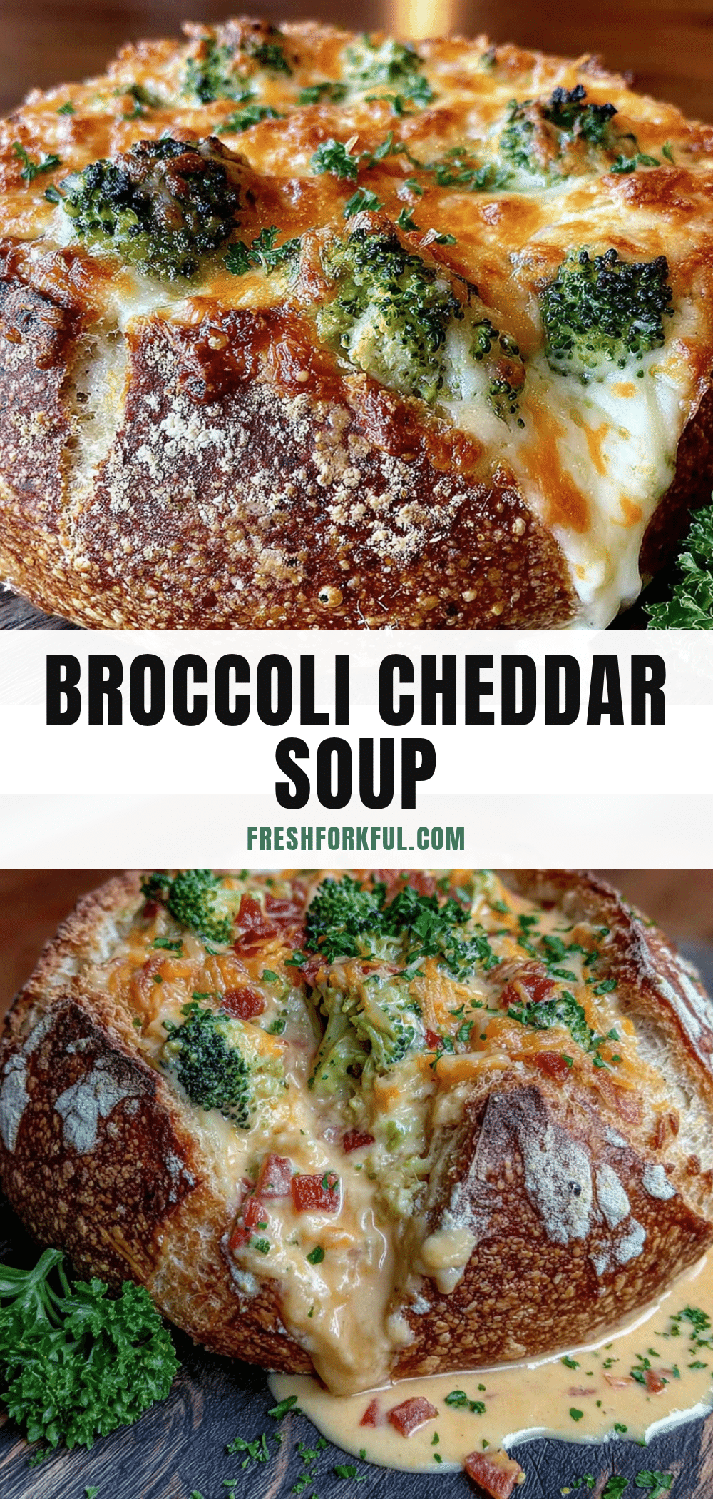 copycat panera broccoli cheddar soup bread bowls recipe
