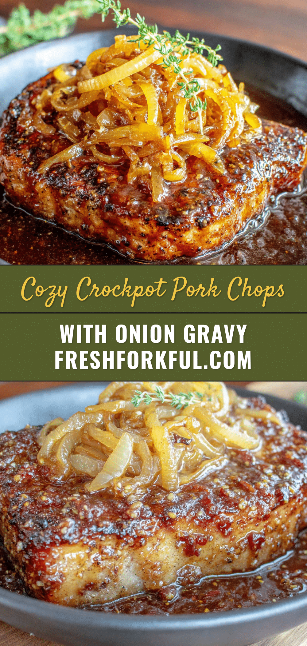 cozy crockpot pork chops with onion gravy recipe