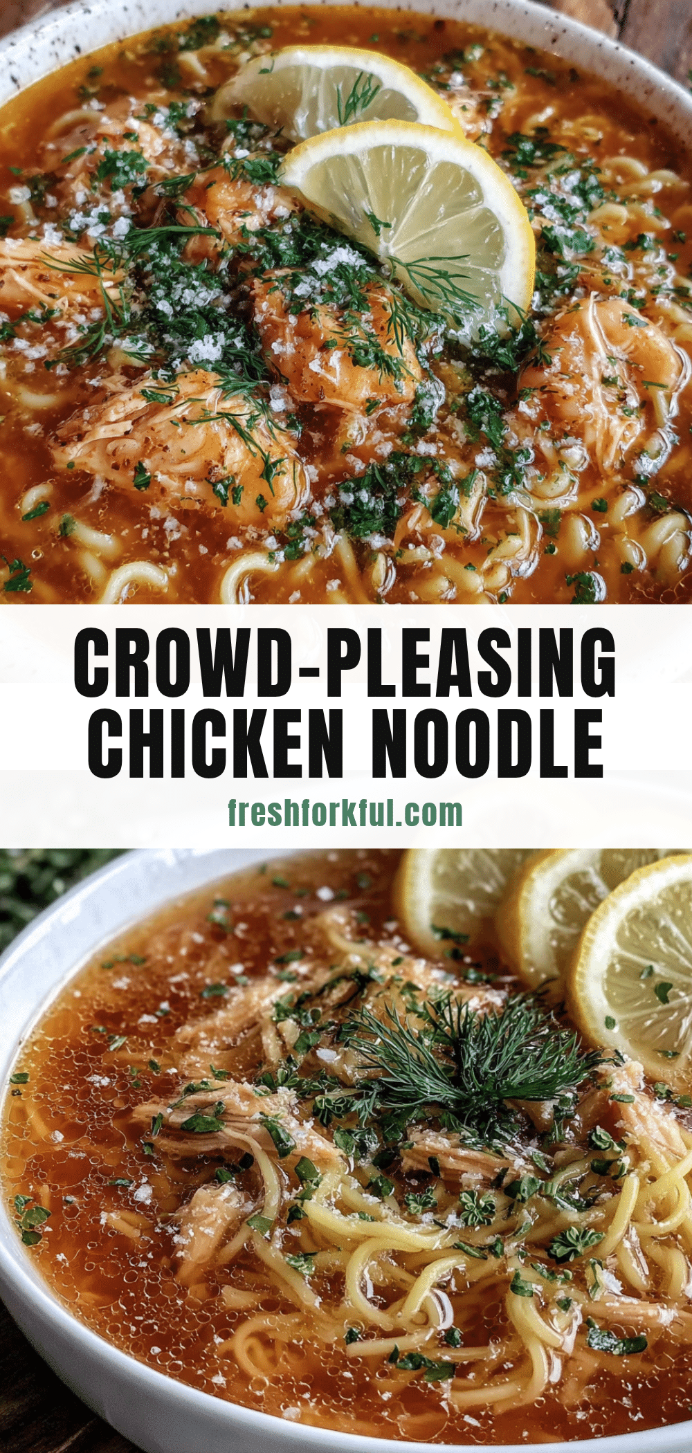 chicken noodle soup with fresh dill recipe
