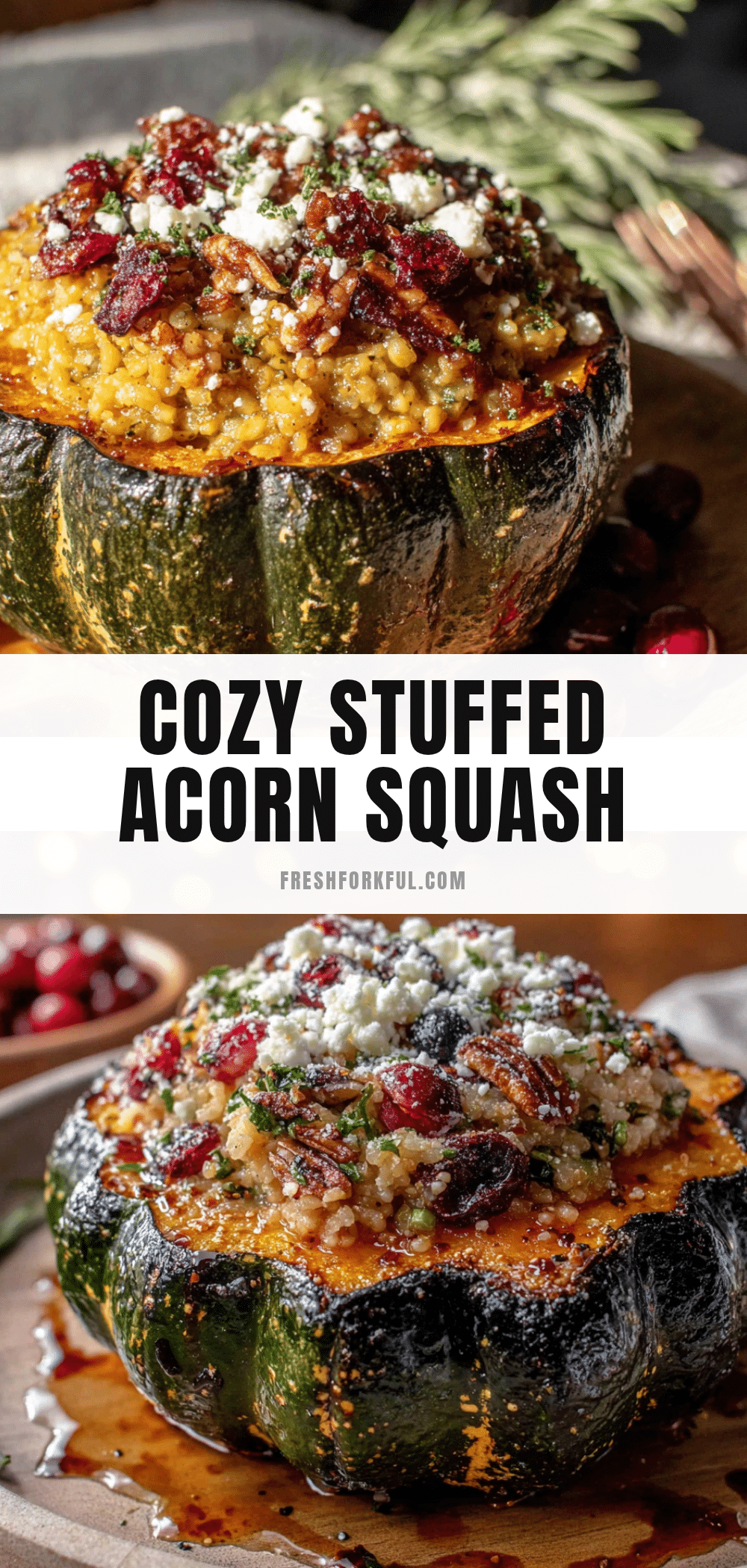 stuffed acorn squash recipe